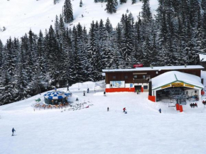 Apartment in Bayrischzell with 2 saunas
